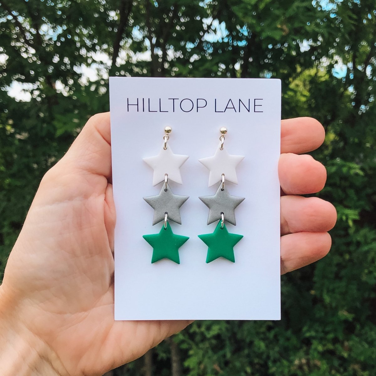 Dallas Stars Earrings